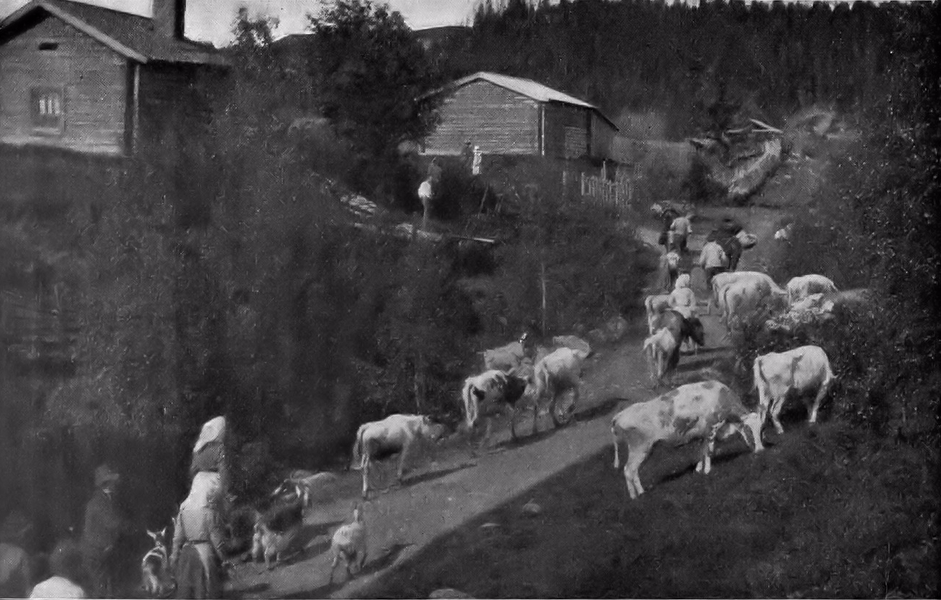 Die wunderbare Reise des kleinen Nils Holgersson mit den Wildgänsen
